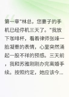 良心推荐假离婚后妻子消失，带走全部身家小说试读