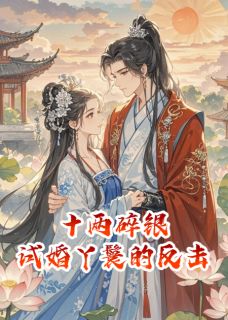 十两碎银，试婚丫鬟的反击[抖音]小说-裴沈渊沈砚之无删减阅读-暗夜阅读网