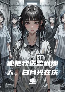 独家他把我送监狱那天，白月光在庆生全本大结局小说阅读