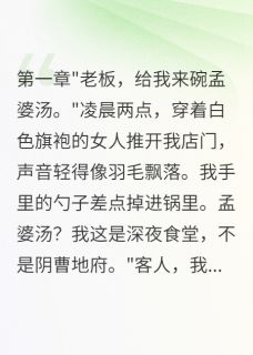 深夜食堂里的秘密客人小说_深夜食堂里的秘密客人小说结局阅读
