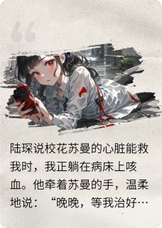 我只愿我们从未遇见过小说百度云完整章节列表免费阅读-暗夜阅读网