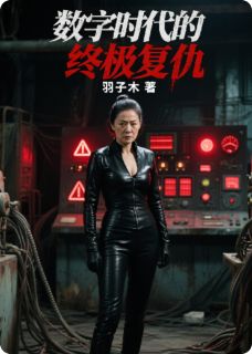 值得熬夜看完的数字时代的终极复仇小说阅读