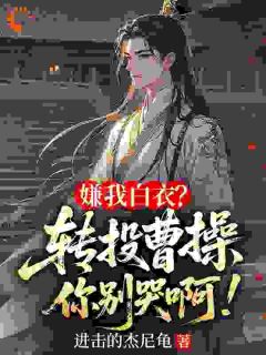 林轩刘备小说最后结局  林轩刘备完结版免费阅读-暗夜阅读网