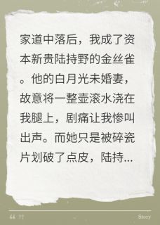 他未婚妻用开水泼我，他竟慌了抖音全本小说陆持野宋娆唐伊抖音免费章节阅读-暗夜阅读网