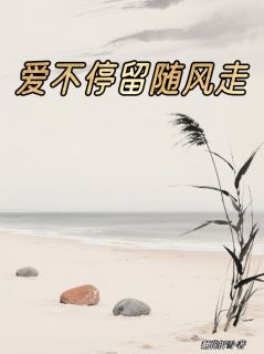 快手热推爱不停留随风去小说主角陆景明白月在线阅读