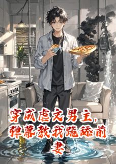 优质新书穿成虐文男主，弹幕教我跪舔前妻最新章节小说全文阅读-暗夜阅读网