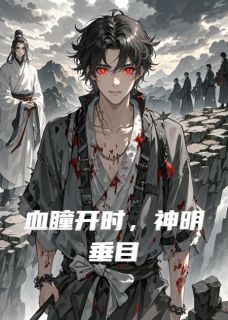 抖音热推小说血瞳开时，神明垂目全文在线阅读