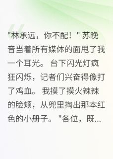 热文顶流妻子称不认识我晒出结婚证小说-主角苏晚音承远全文在线阅读