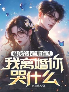 独家逼我给小白脸磕头，我离婚你哭什么全本大结局小说阅读-暗夜阅读网