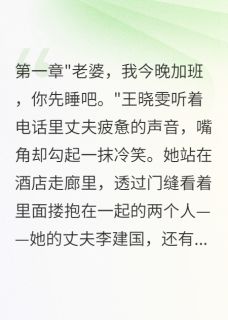 老公出轨后悔断肠(王晓雯张美美)最新章节
