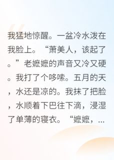 小说推荐咸鱼美人被迫宫斗日常完结版全章节阅读-暗夜阅读网