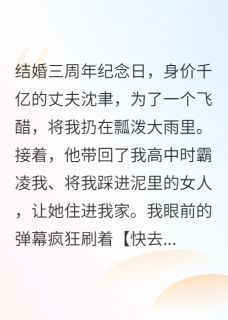 爆款小说弹幕教我做舔狗,反手送离婚协议-主角沈聿林青旋在线阅读-暗夜阅读网