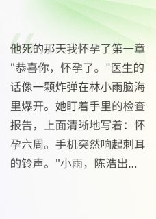 知乎小说他死的那天我怀孕了主角是林小雨陈浩苏晓全文阅读-暗夜阅读网