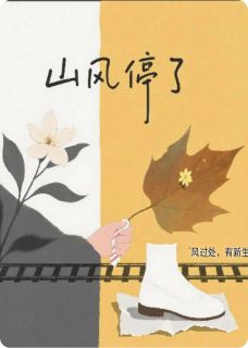 无广告小说山风停了-晓燕念念王强在线阅读
