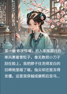 抖音小说酸梅汤与凤冠:我的清宫逆袭路主角青黛小禄子妃嫔全文小说免费阅读-暗夜阅读网