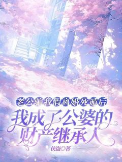主角是王琴张恩的小说叫什么老公骗我假离婚死遁后，我成了公婆的财产继承人免费全文阅读-暗夜阅读网