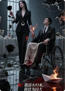 (好书推荐)明月烬燃小说最新章节小说全文阅读