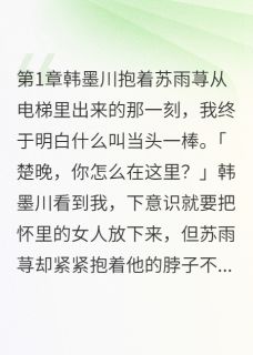 韩墨川苏雨荨全本小说 小三上位梦碎，我成最大赢家全文免费在线阅读