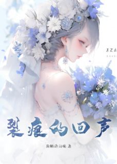 裂痕的回声林晚秋周予安小说完整在线阅读