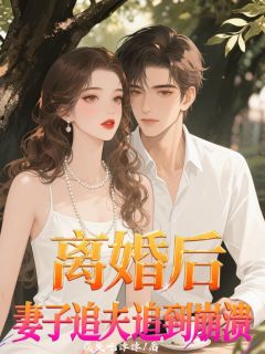 书荒必备林锋苏晚晴小说