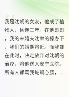 (独家)送男友安乐死后，他哥骂我贱人沈聿沈朝林薇薇小说-暗夜阅读网