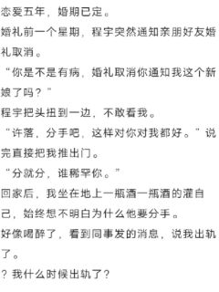 被退婚后我杀疯了程宇刘天擎-摘星星点灯小说