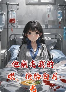 他剜走我的眼，换给白月光在线全文阅读-主人公沈微明江临小说-暗夜阅读网