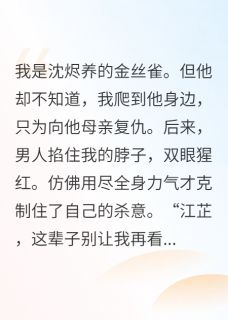 主角是沈烬陆望林念慈的囚禁强制爱？醒醒，是我杀了你…抖音热门小说