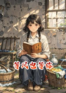 顾长风晚意沈嘉许主角的小说完结版契约婚姻：等风也等你全集-暗夜阅读网