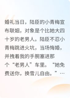陆臣陈雪儿徐清远全本小说 我怀念的，终将逝去全文免费在线阅读