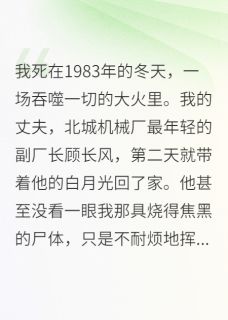 抖音重生八零:我死后,渣男疯了txt小说阅读-暗夜阅读网