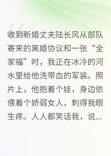 知乎小说离婚？我杀到部队手撕白莲花主角是陆长风白薇全文阅读-暗夜阅读网
