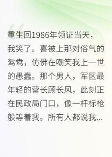 好书推荐回到领证当天，我换了个嫁法顾长风顾秀丽林晓晚全文在线阅读-暗夜阅读网