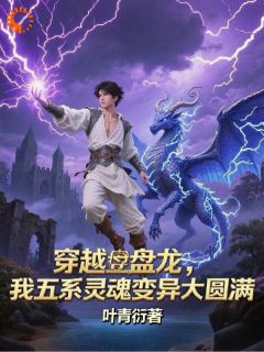 (精品)穿越盘龙，我五系灵魂变异大圆满小说