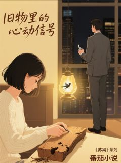 时光里的设计图知乎小说最新章节阅读