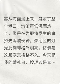 爆款热文港口周小北沈骁在线阅读-港口迷雾：豪门遗产局中局全章节列表