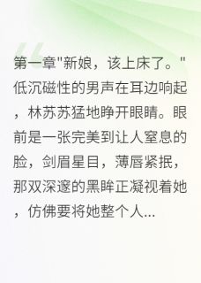 老书虫书荒推荐新婚重生夜，霸道总裁疯狂追妻txt小说阅读