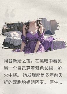 好看的姐姐在我子宫复活小说，主角阿谷梁城最新章节阅读-暗夜阅读网