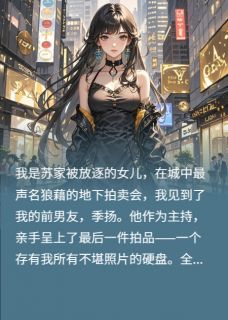 我烧毁私照,霸总为我怒打前男友傅云深季扬大结局小说全章节阅读-暗夜阅读网