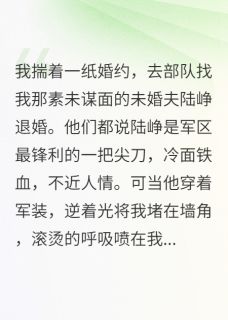 抖音完结退婚当天，军区尖刀把我抵上墙陆峥陈浩李文静(全文在线阅读)-暗夜阅读网