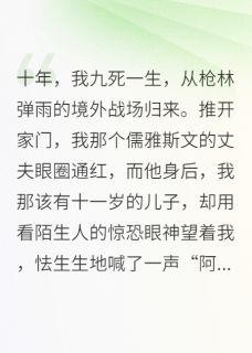 夏叶不知秋的小说星辰于我，长夜未明主角是沈亦淮星辰沈星朗