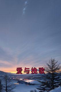 好看的爱与挽歌小说，主角姜芙时言彻最新章节阅读