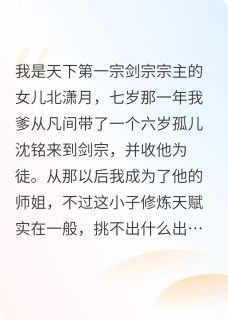 百度贴吧小说重生归来我要守护我的一切，主角沈铭慕时歌全文免费