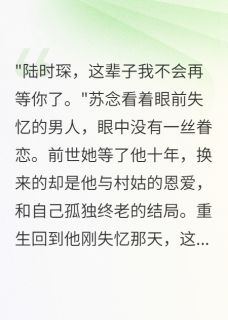 失忆三年为村姑，想起我时已太晚全文目录-苏念陆时琛詹姆斯小说无弹窗阅读-暗夜阅读网