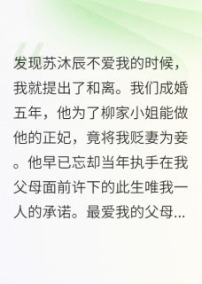 小雅苏沐辰柳湘如小说发现他不爱我的时候全文阅读-暗夜阅读网