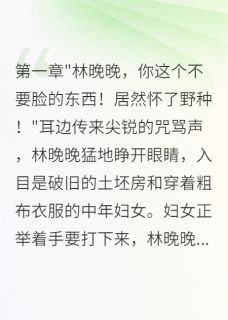 (热推新书)重生八零怀孕后我驯服了病娇反派秦墨寒林晚晚苏清雅无弹窗阅读