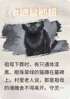 小说通灵邪猫主角为黑猫老赵免费阅读