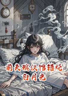前夫殡仪馆错烧白月光小说在线阅读，主角沈聿老陈苏清荷精彩段落最新篇