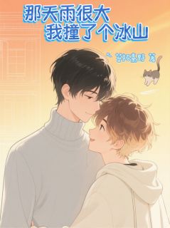 那天雨很大我撞了个冰山小说(完结)-沈砚苏野无删减阅读