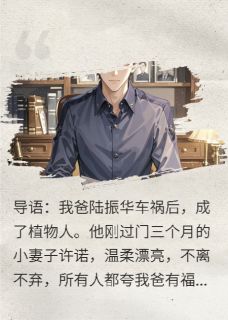 【新书】继母对我图谋不轨，我装作不知道主角许诺苏晚全文全章节小说阅读-暗夜阅读网